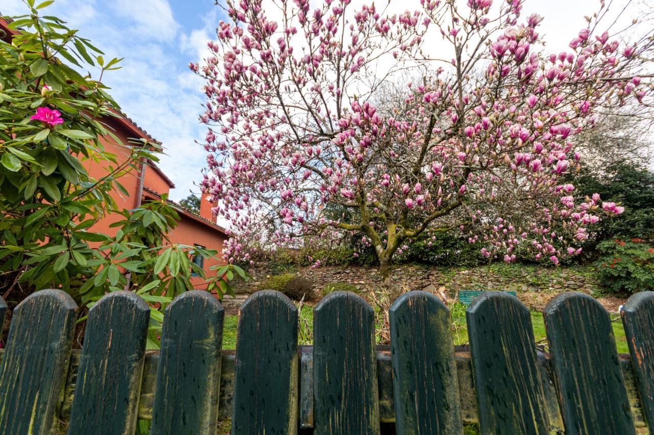 Ferienhaus Casa Regueiras *